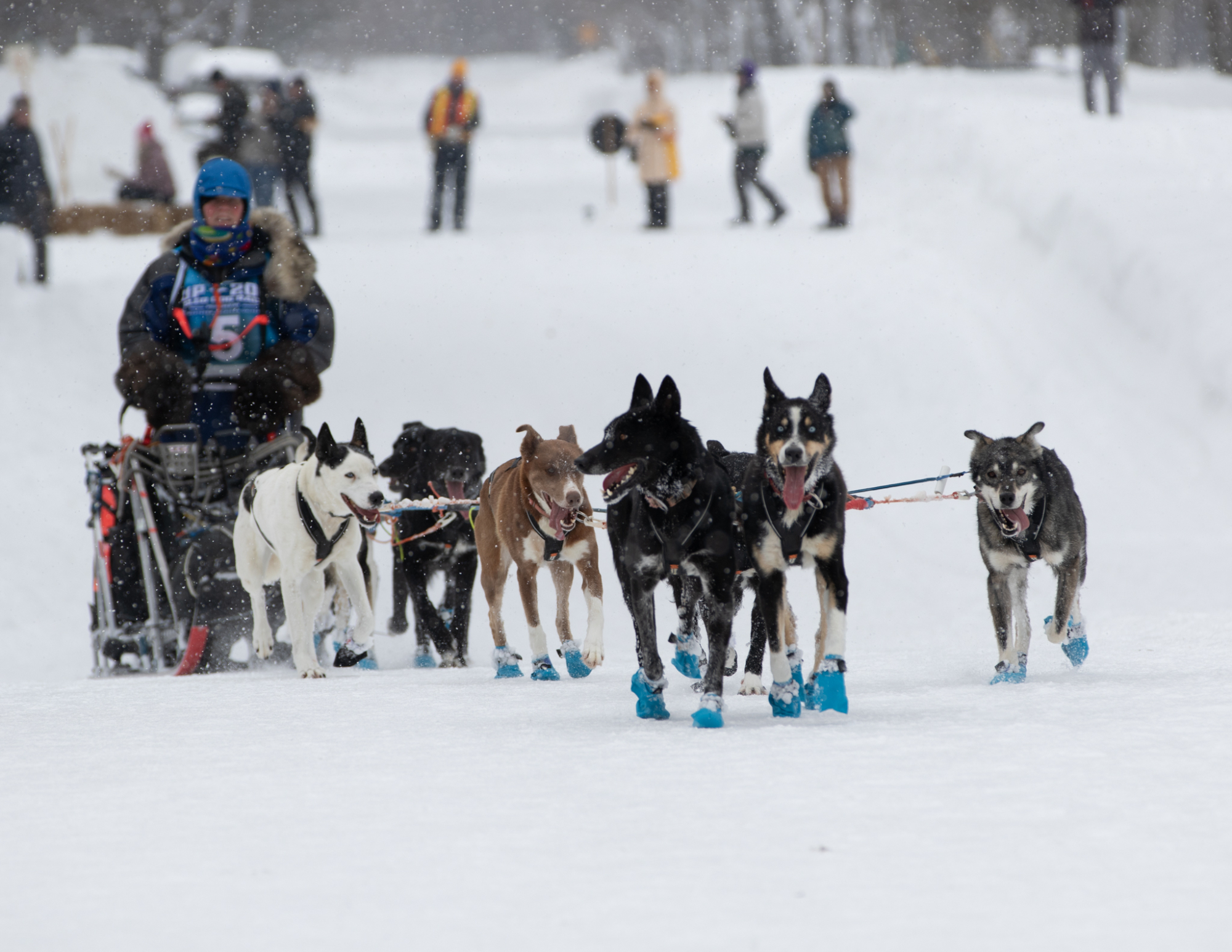 Race Finish Update | Upper Peninsula Sled Dog Association Race Finish Update | Upper Peninsula Sled Dog Association